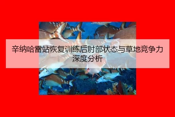 xin-na-ha-lei-zhan-hui-fu-xun-lian-hou-zhou-bu-zhuang-tai-yu-cao-di-jing-zheng-li-shen-du-fen-xi-2-789.jpg